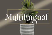 Modern Serif Font, a Script Font by Graphue (Thumbnail 6 of 10)