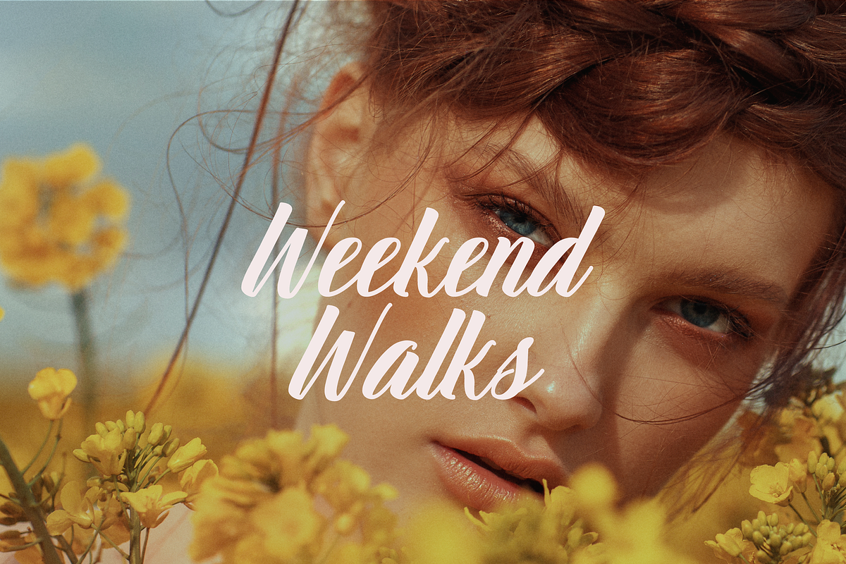 Greso Font - Handwritten Script Font, a Script Font by Creative Foundry (Photo 2 of 9)