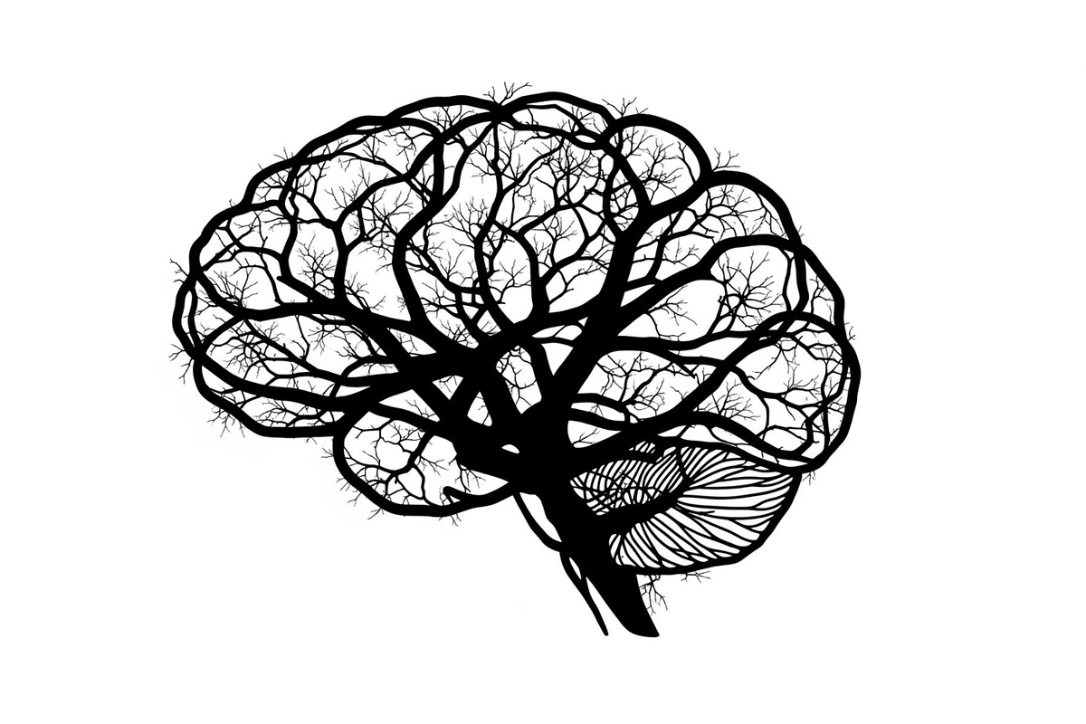 Brain Tree Knowledge Design Bundle, an Illustration by Gaye Art (Photo 18 of 31)