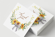Sunflower Blooming Watercolor, an Object Illustration by CreativeValuation (Thumbnail 13 of 15)