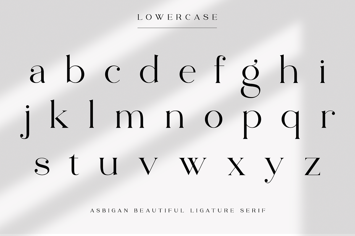 Asbigan, a Serif Font by Sealoung (Photo 11 of 21)