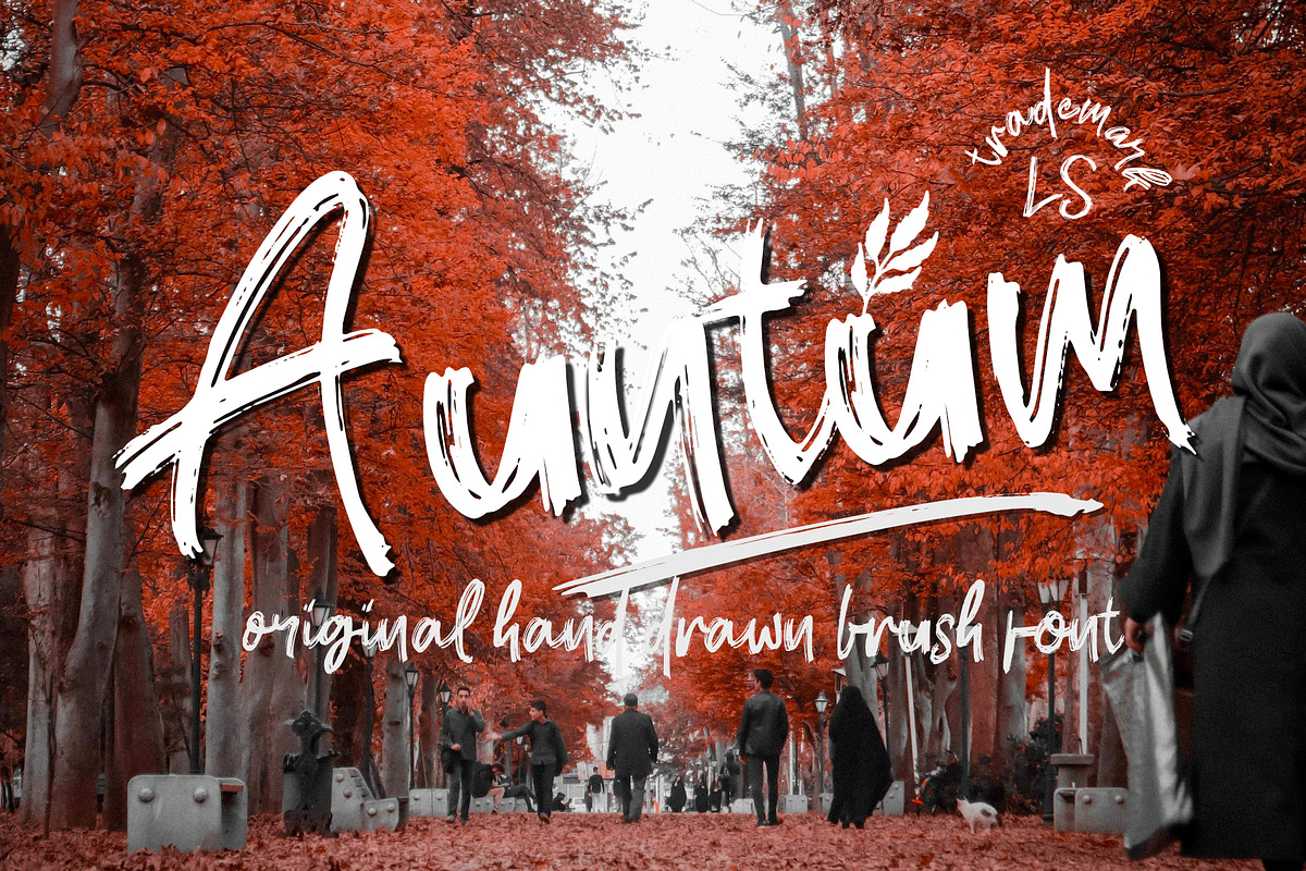 Brookland, a Script Font by LetterStock (Photo 4 of 6)