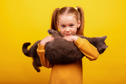 Young girl with pigtails in a mustard sweater holding a fluffy g