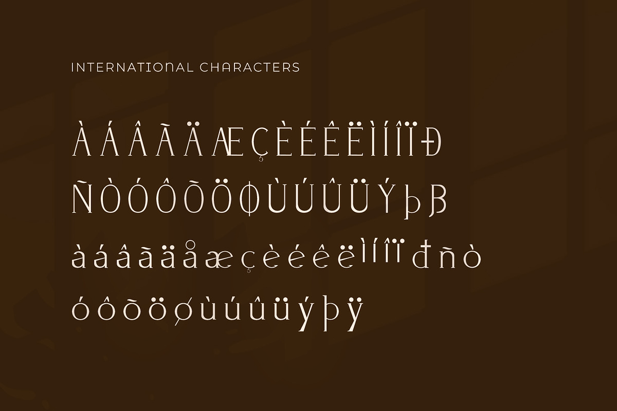 Bazena - Serif Typeface Font, a Serif Font by Rishsketch (Photo 14 of 15)