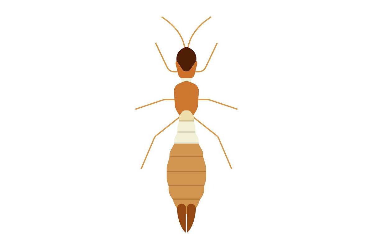 Worker Termite Insect, a Solid Icon by Buqancreative (Photo 1 of 2)