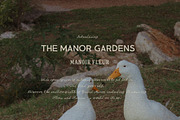 Handmade Cottagecore Script Font Set, a Handwritten Font by Laras Wonderland (Thumbnail 9 of 16)