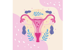 woman uterus and leafs, an Object Illustration by studiogstock