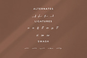 Authentty Wegnotta, a Handwritten Font by Integritype Studio (Thumbnail 11 of 15)