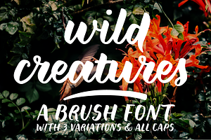 Wild Creatures Brush Font Family