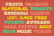 Twin Lakes Display Font, a Font by Holt510 (Thumbnail 5 of 11)