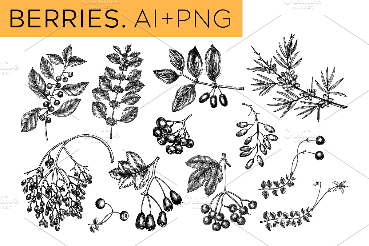 Autumn Leaves & Flowers. Fall Bundle, an Object Graphic by Yevheniia (Photo 7 of 11)