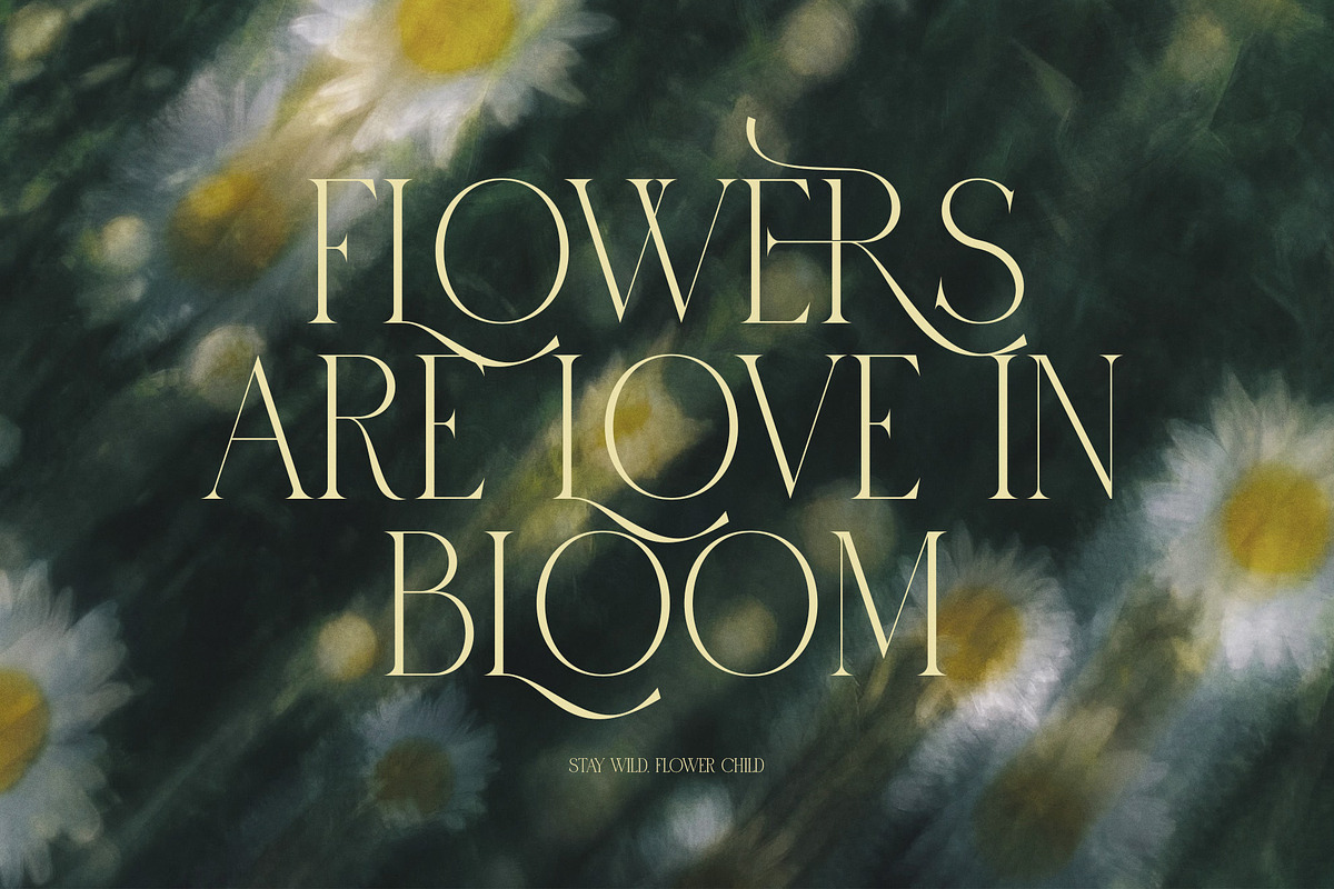 Mitra Macro Luxury Ligature Serif, a Serif Font by Graphicxell (Photo 6 of 8)