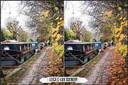 Leica Film Styles, a Plug-in Add-On by Raztrend (Thumbnail 11 of 30)