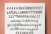 Malina Brush Font, a Script Font by Ivan Rosenberg (Thumbnail 4 of 4)