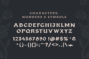 Gasbro Family Font