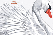 Swans Watercolor Clip Art, an Animal Illustration by BarvArt (Thumbnail 3 of 4)