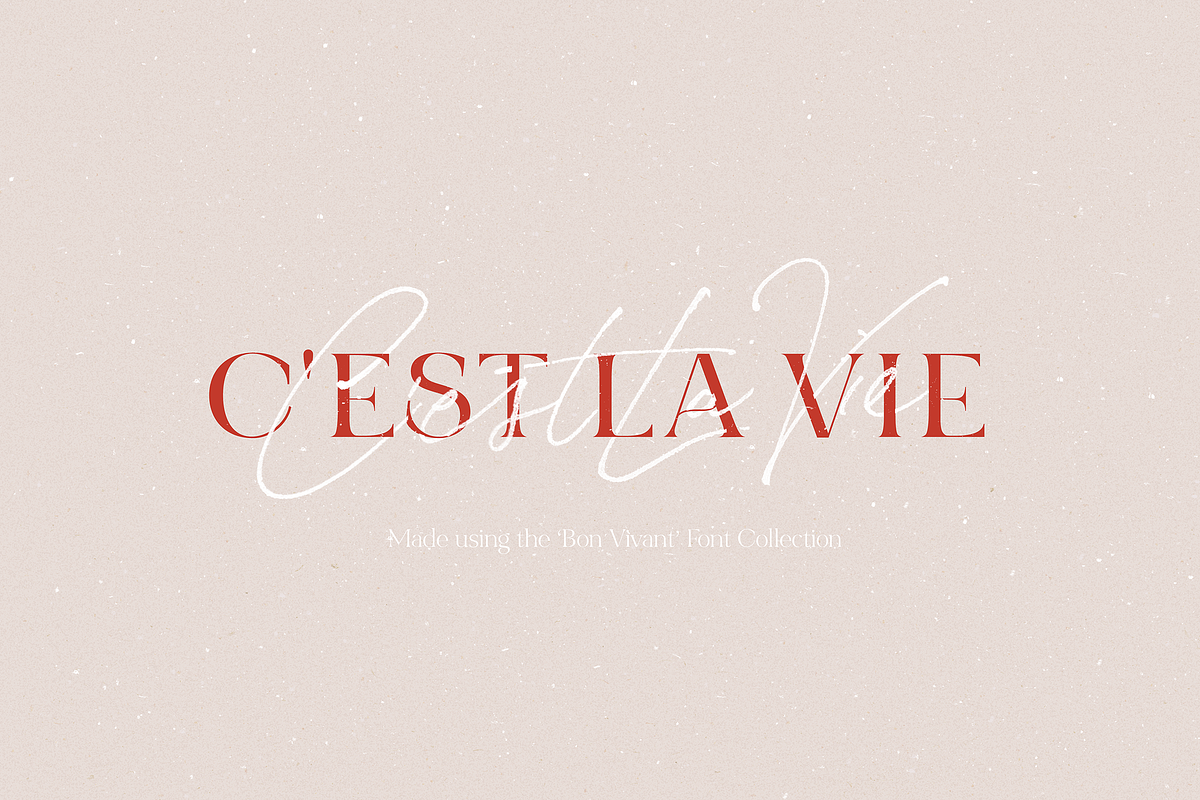 Bon Vivant Collection, a Serif Font by Nicky Laatz (Photo 29 of 44)