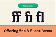 Berai – Festive Vintage Font, a Serif Font by Tiptop Graphic (Thumbnail 5 of 9)