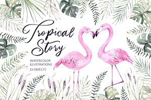 Tropical Story. All About Flamingo