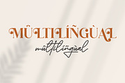 Megasta Signateria Font Duo Typeface, a Serif Font by Storytype Studio (Thumbnail 11 of 15)