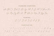 Felicity - Handwritten Font, a Script Font by Alpaprana (Thumbnail 10 of 12)