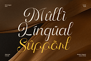 Monologue Elegant Luxury Script Font, a Script Font by Sensatype (Thumbnail 12 of 12)