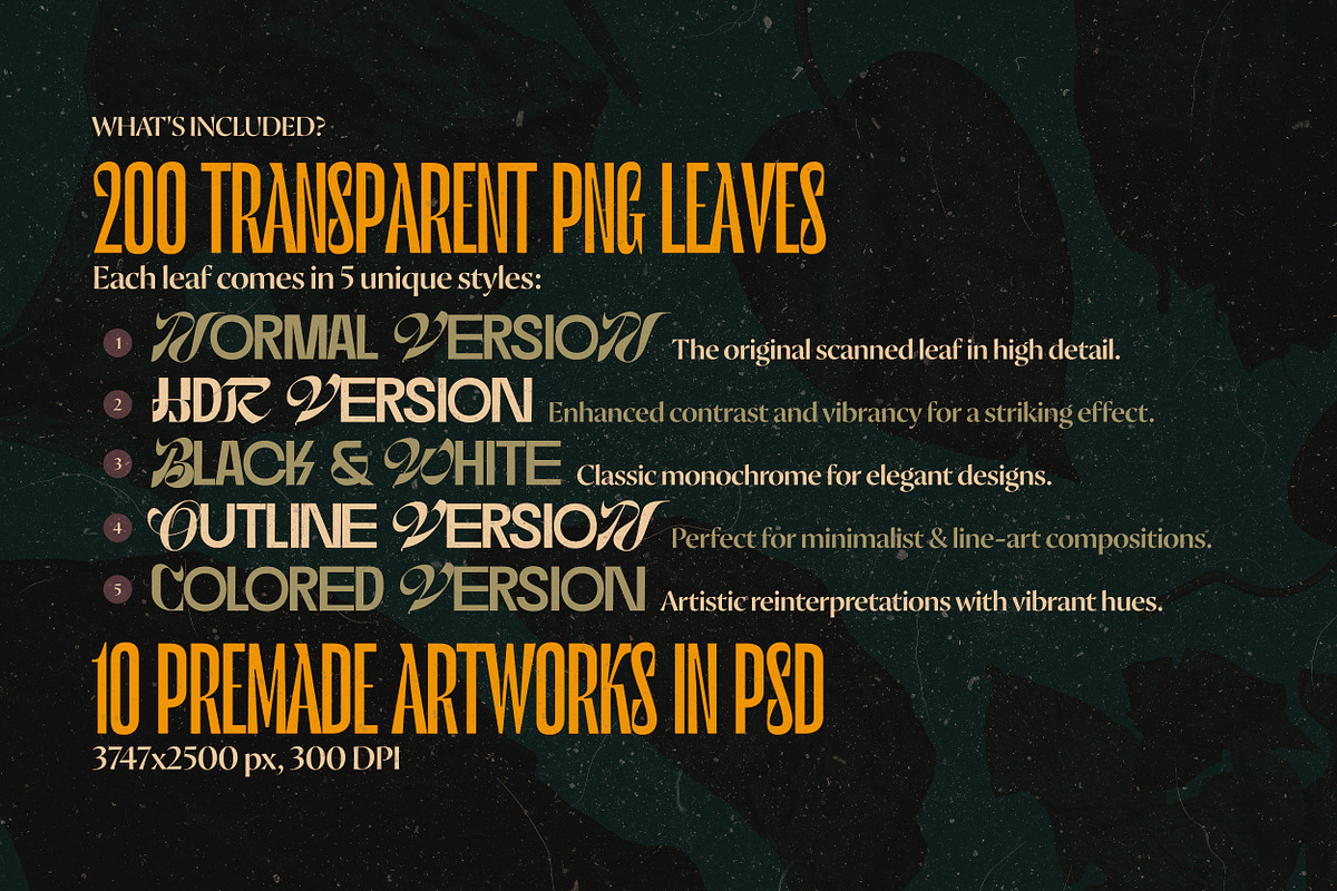 Broken Leaves 200 Transparent Object, an Object Graphic by nicholasasmita (Photo 2 of 15)