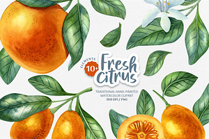 Fresh Citrus Watercolor Clipart.