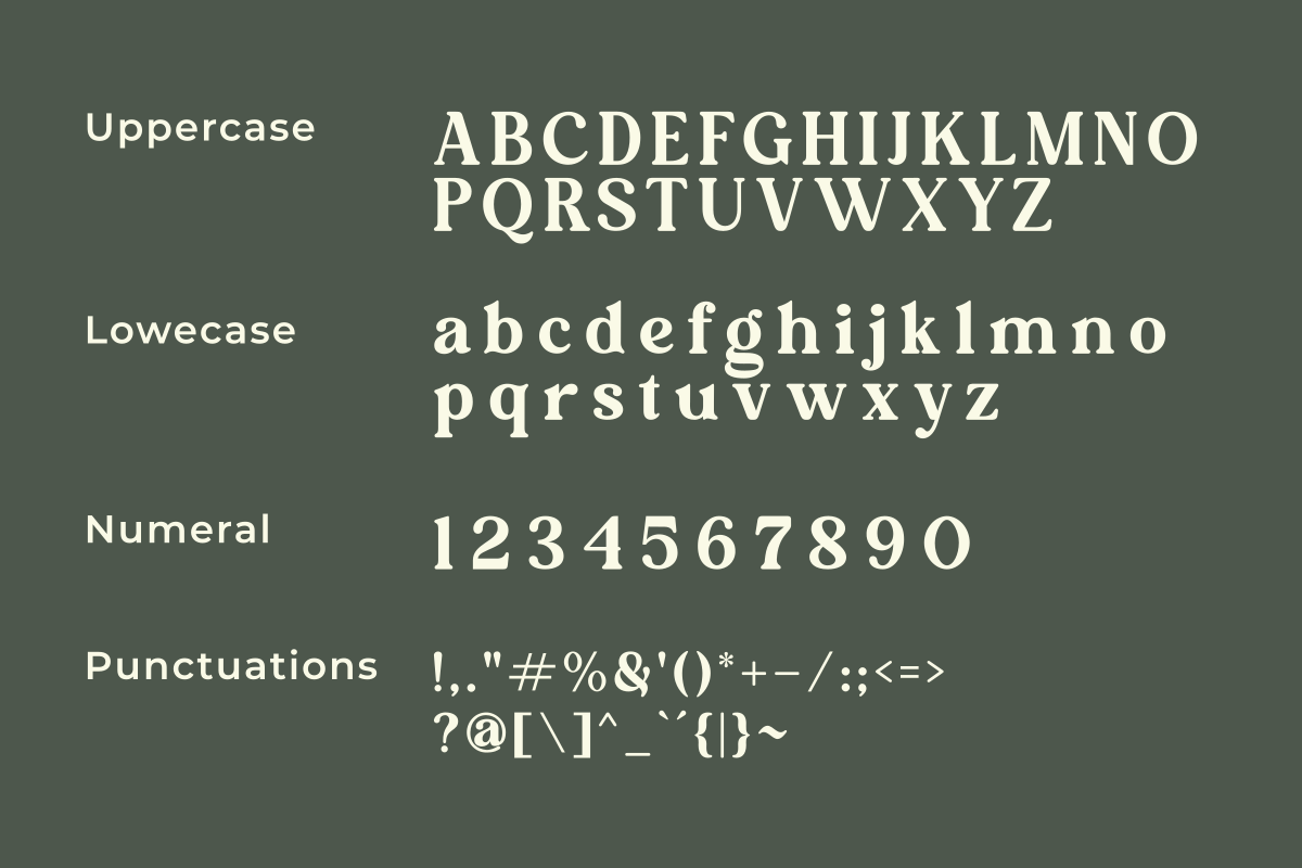 Elmaris, a Serif Font by Zafiratype (Photo 13 of 15)
