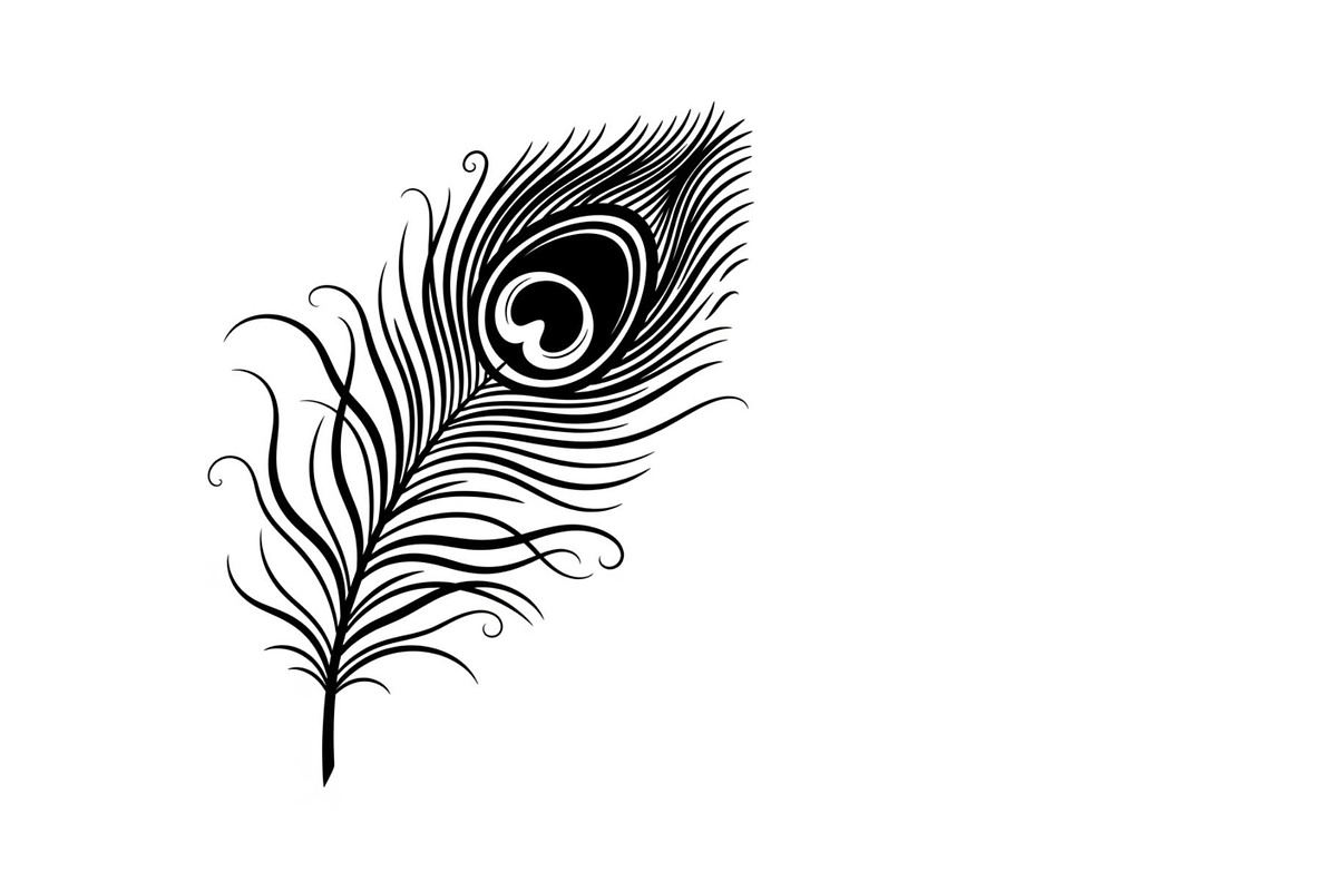 Peacock Feather Silhouette Bundle, an Illustration by jahid234 (Photo 9 of 31)