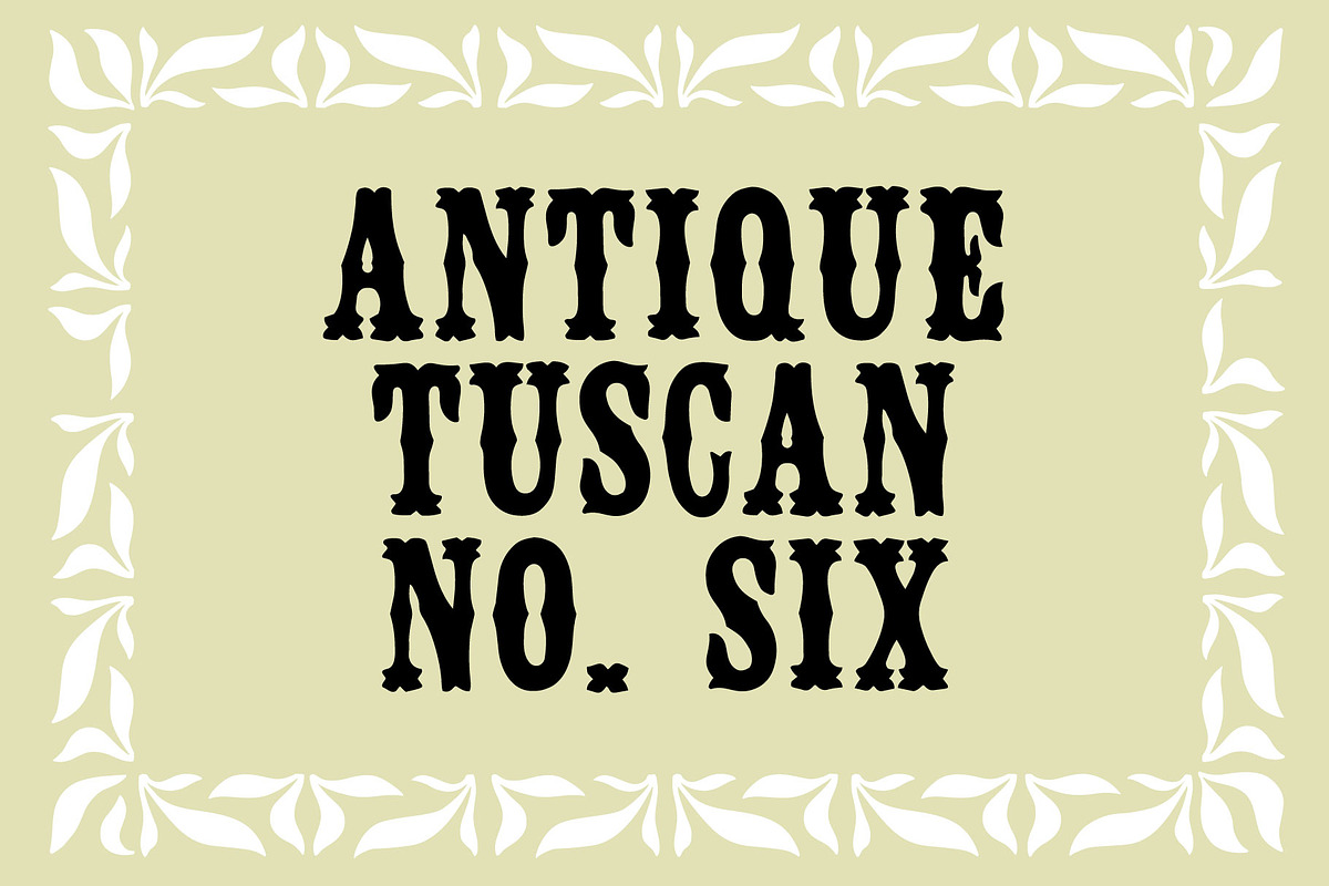Antique Tuscan No. 6, a Slab Serif Font by Wood Type Revival (Photo 1 of 4)