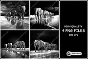 Elephants Group Walking Herd Beach, a Background Graphic by LaseredNinja (Thumbnail 1 of 7)