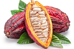 Cocoa fruits or cocoa pods and green leaves isolated on white ba, a Food & Drink Photo by Volff