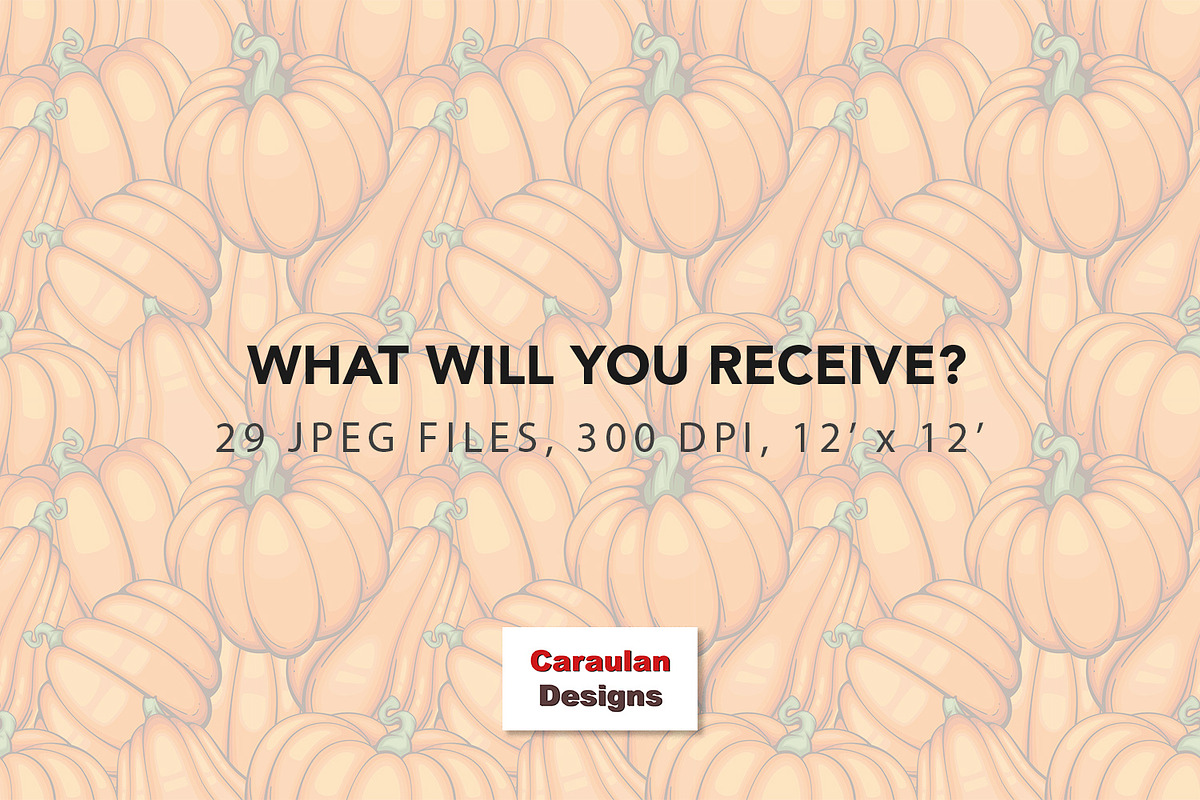 Thanksgiving Pumpkins Patterns, a Pattern Graphic by Serghei Caraulan (Photo 9 of 9)