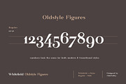 Whitefield - Handcrafted Serif, a Serif Font by AlienValley (Thumbnail 5 of 8)