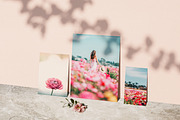 Dreamy Flower Fields Photo Bundle, a Nature Photo by Munopia (Thumbnail 5 of 5)