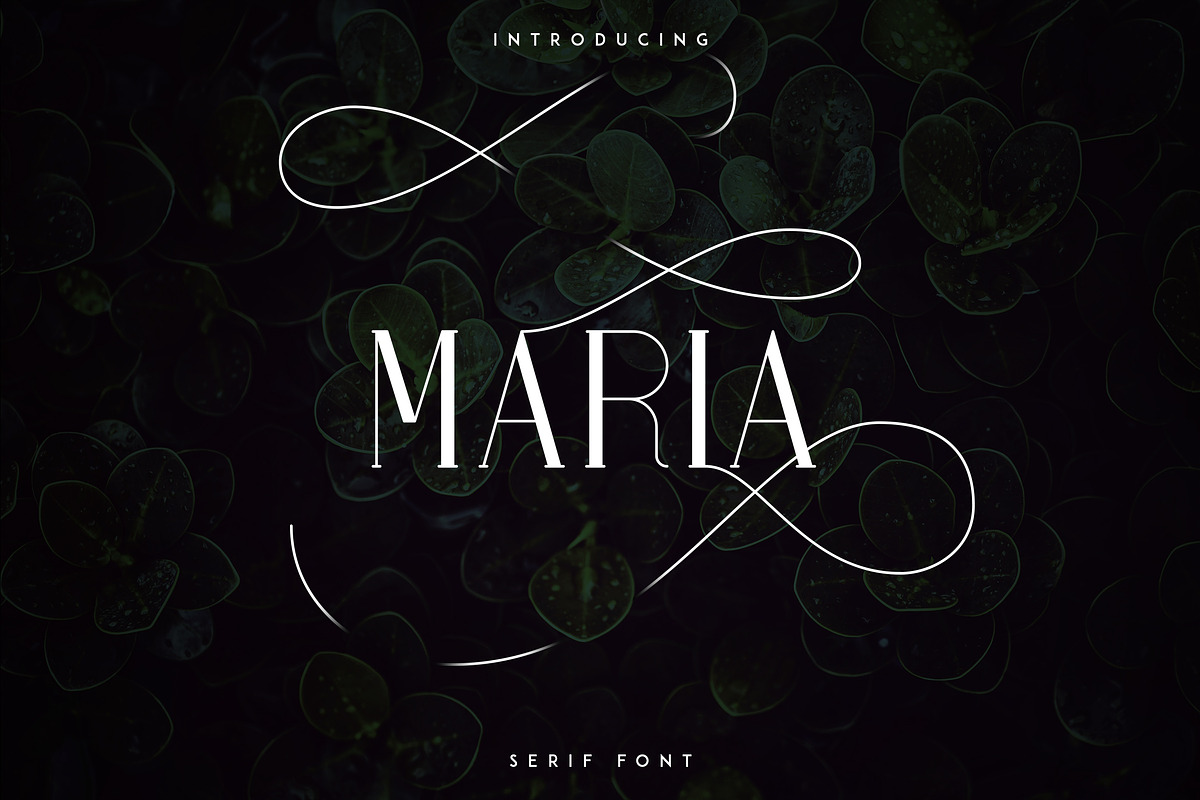 Massive Font Bundle - 197 fonts, a Script Font by VP Fonts (Photo 32 of 55)