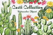 Cactus Watercolor Clipart. Succulent, a Decorative Illustration by BarvArt (Thumbnail 1 of 5)