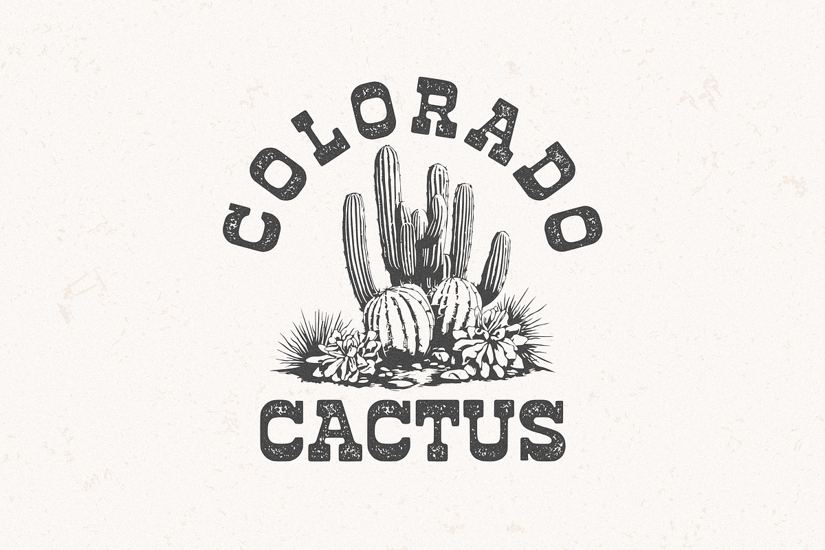 HF Lonehope Western Slab Serif, a Serif Font by 24Design Studios (Photo 4 of 7)