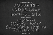 Resolute | Script Font, a Script Font by Scratchones (Thumbnail 8 of 8)