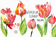 Tulip Watercolor Clipart, an Illustration by MariaScaroniAtelier (Thumbnail 1 of 4)