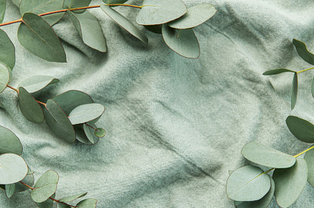 Eucalyptus branch  on textile fabric, a Nature Photo by Olena Rudo