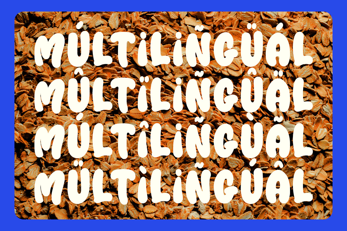 OATMEAL BREAD, a Handwritten Font by Mozatype (Photo 3 of 10)