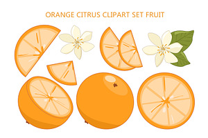 Orange Citrus Clipart Set Fruit