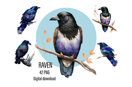 Raven art, Crow art, Raven artwork