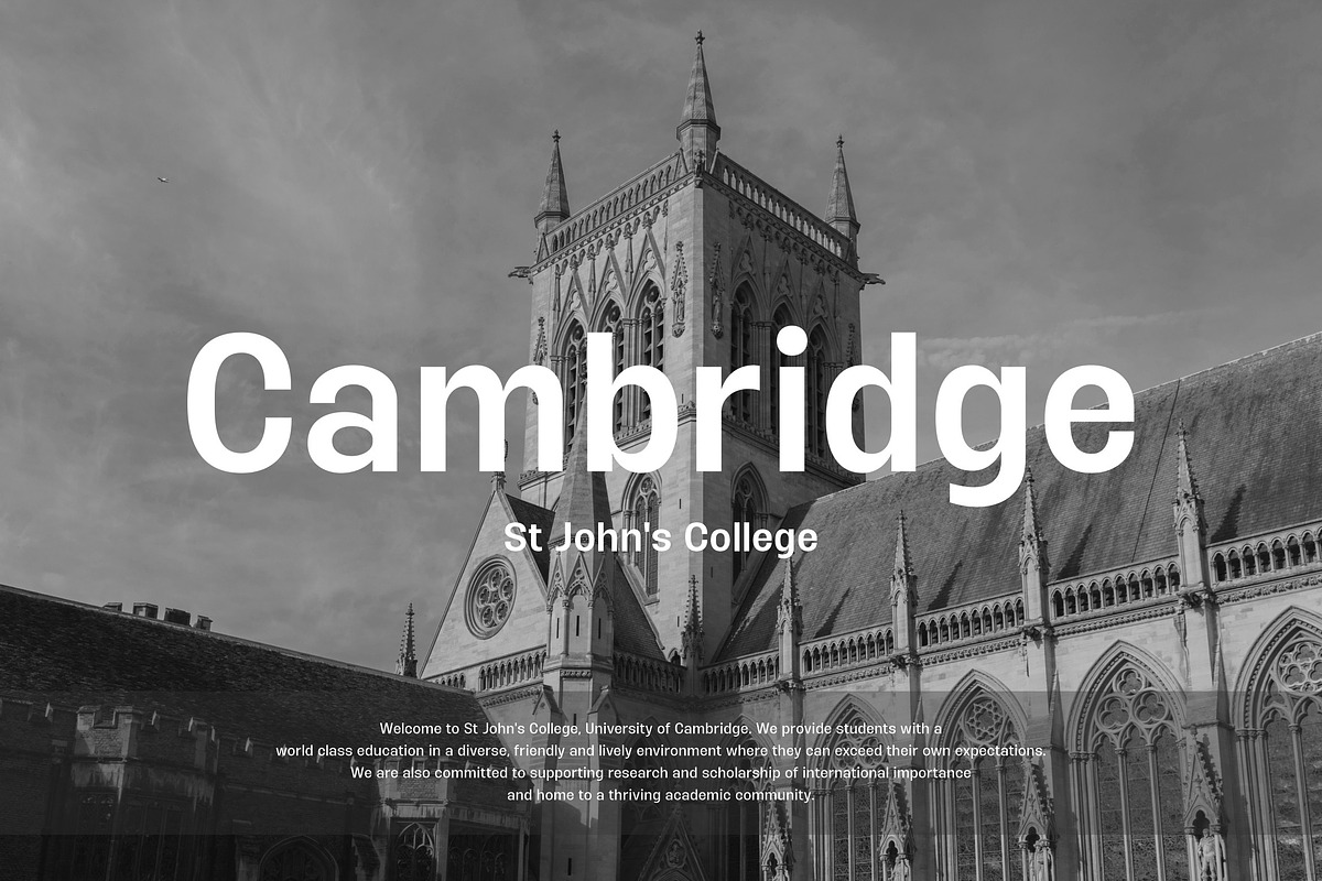 Halagar Sans Family, a Sans Serif Font by Letteralle Studios (Photo 9 of 11)