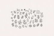 Hand Drawn Botanical Graphics, a Texture Illustration by Minna May Design (Thumbnail 2 of 2)