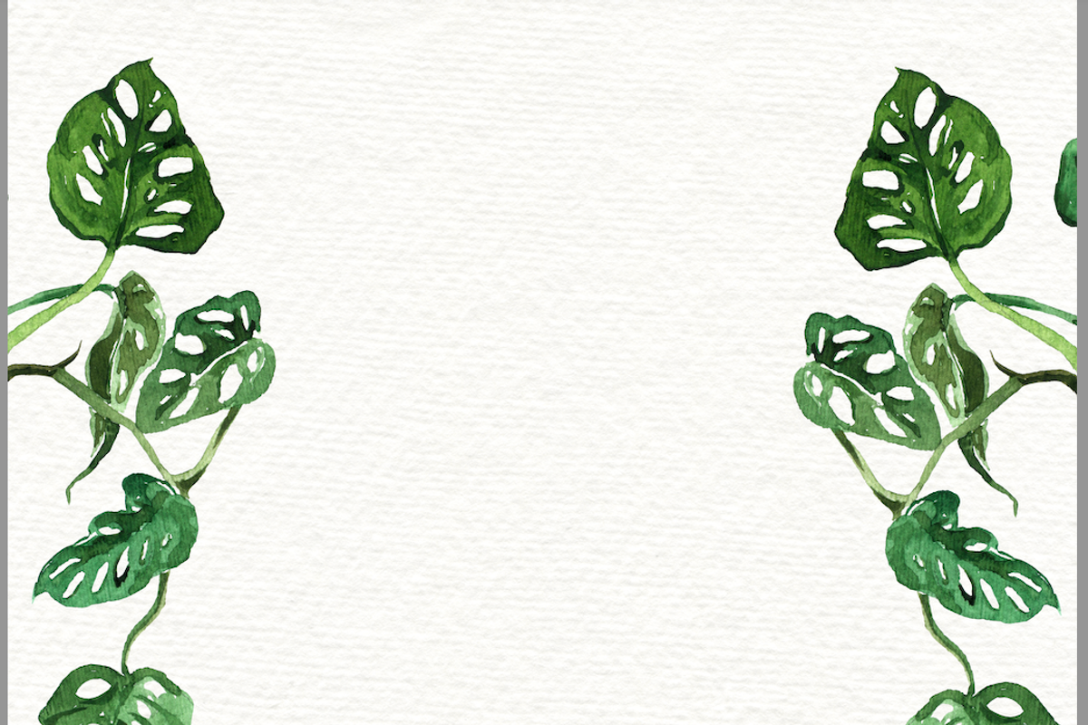 Begonia Plant Border, an Invitation Template by water + colour (Photo 1 of 2)