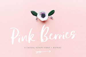 Pink Berries Script font + Extras