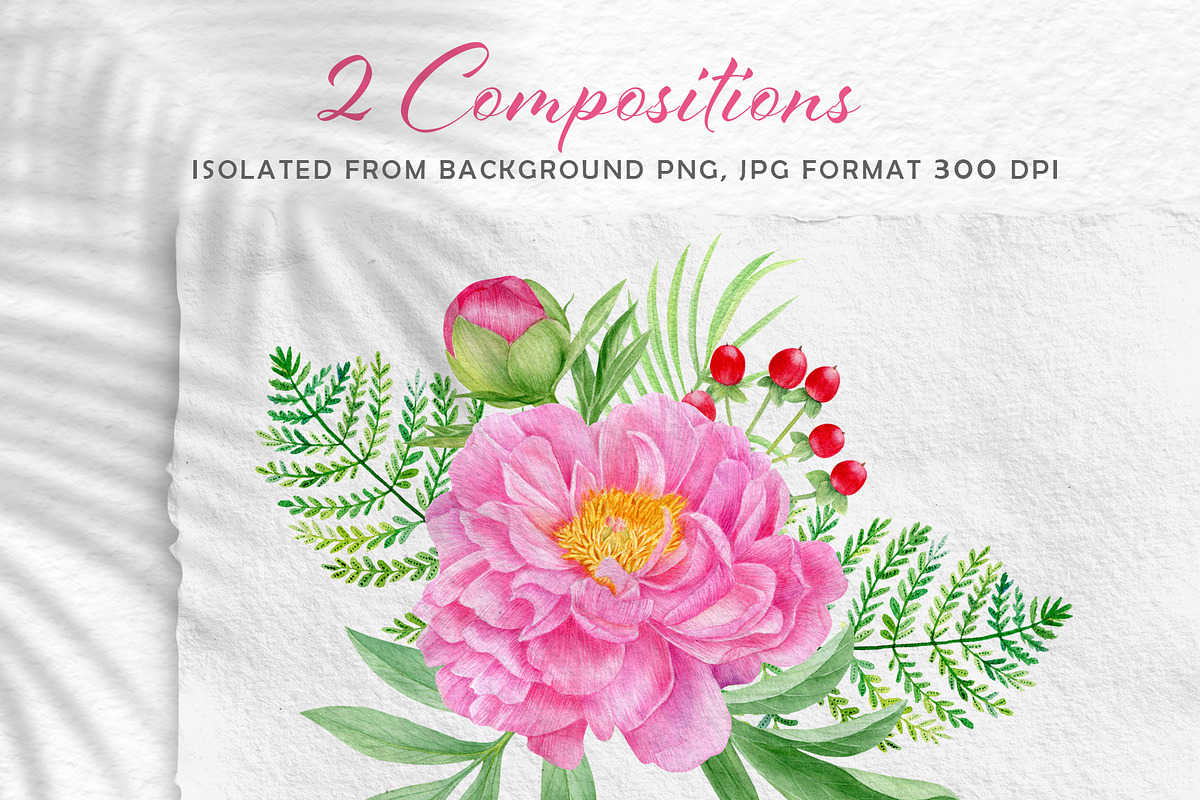 Watercolor pink peony illustrations, a Texture Illustration by svetodesign (Photo 3 of 11)